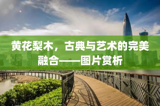 黄花梨木，古典与艺术的完美融合——图片赏析