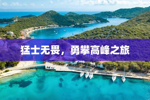 猛士无畏，勇攀高峰之旅