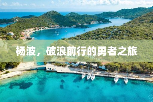 杨波，破浪前行的勇者之旅