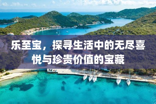 乐至宝，探寻生活中的无尽喜悦与珍贵价值的宝藏