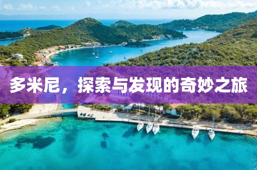 多米尼，探索与发现的奇妙之旅