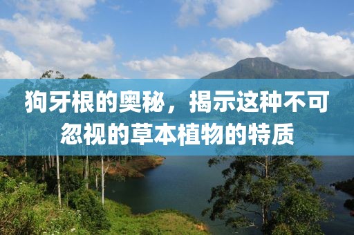 狗牙根的奥秘，揭示这种不可忽视的草本植物的特质