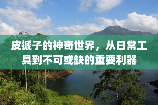 皮搋子的神奇世界，从日常工具到不可或缺的重要利器