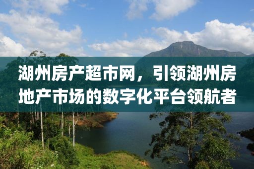 湖州房产超市网，引领湖州房地产市场的数字化平台领航者