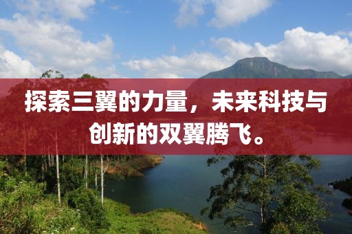 探索三翼的力量，未来科技与创新的双翼腾飞。