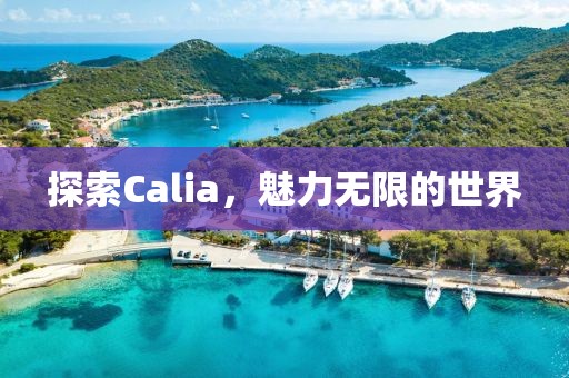 探索Calia，魅力无限的世界