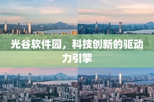 光谷软件园，科技创新的驱动力引擎