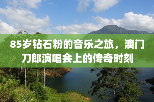 85岁钻石粉的音乐之旅，澳门刀郎演唱会上的传奇时刻