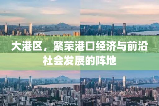 大港区，繁荣港口经济与前沿社会发展的阵地