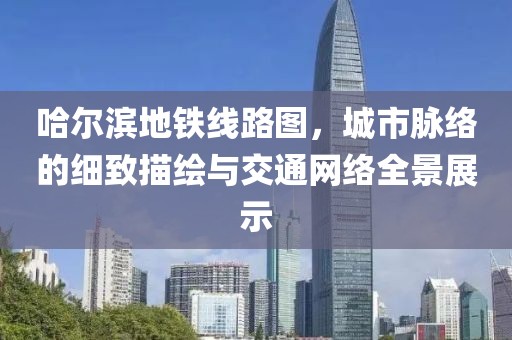 哈尔滨地铁线路图，城市脉络的细致描绘与交通网络全景展示