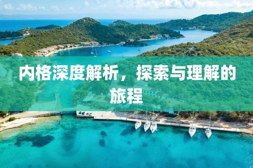 内格深度解析，探索与理解的旅程