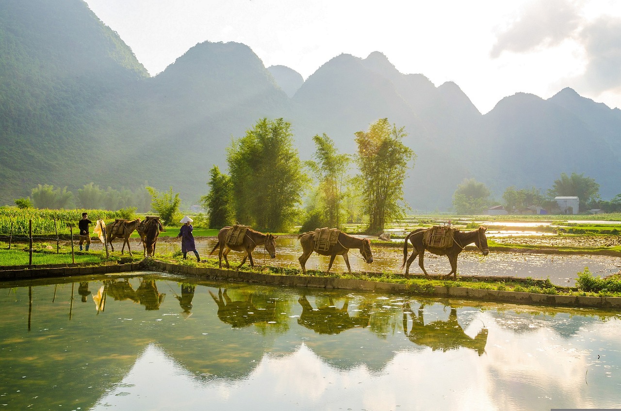 月亮城，神秘与浪漫的交织之旅