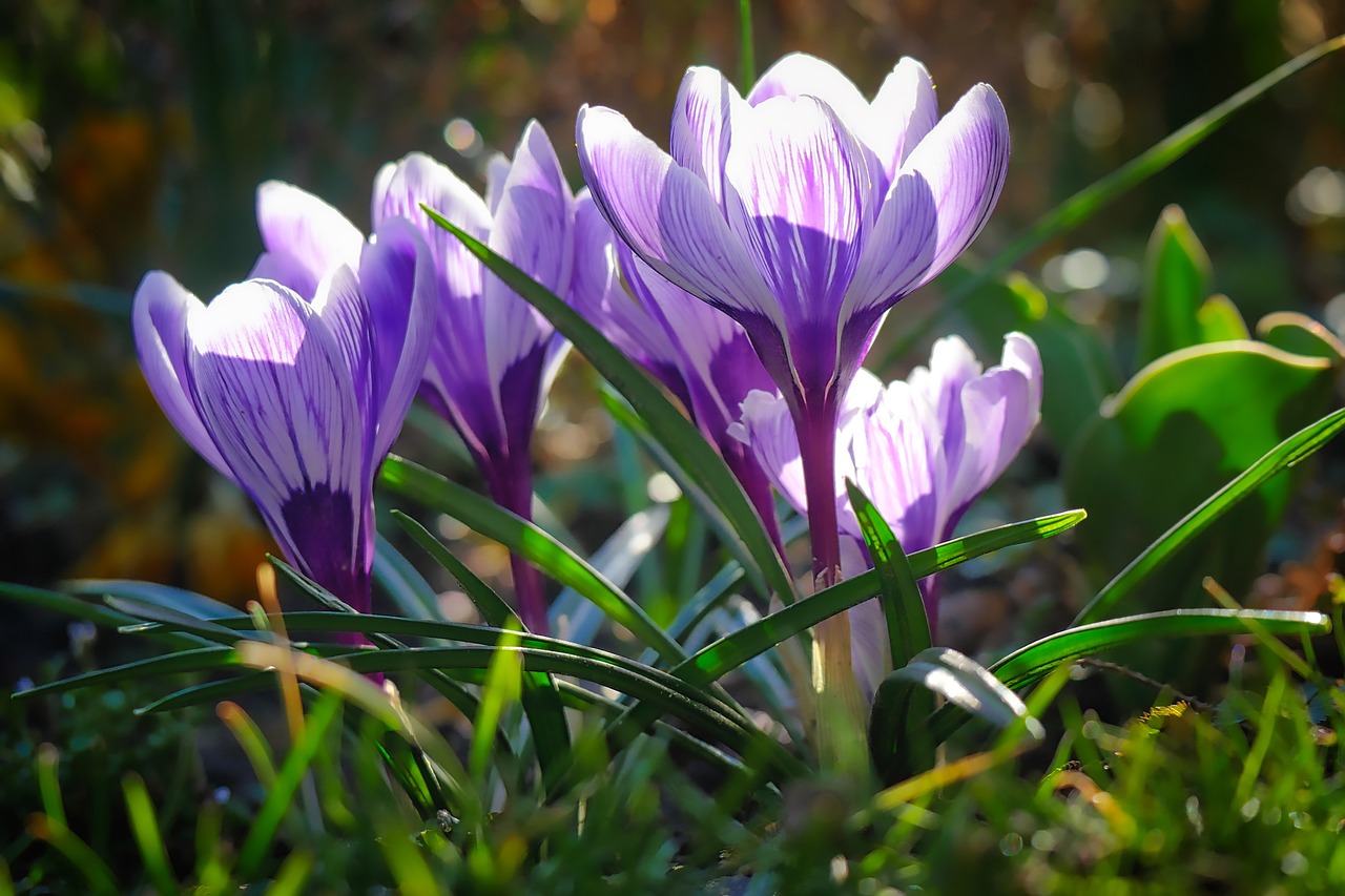 教师节致敬，点亮生命的导师们永放光芒