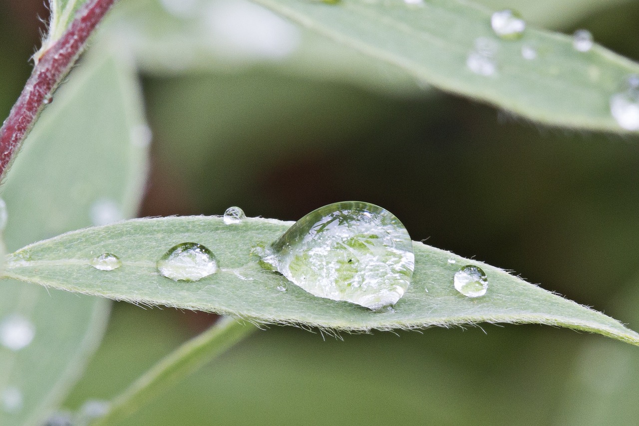 谷雨时节，滋润大地，新生孕育启幕