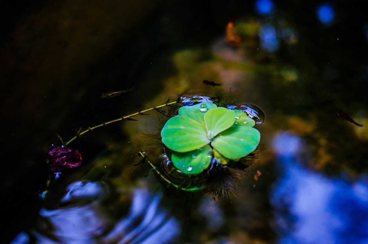 谷雨滋润大地，孕育生机时节