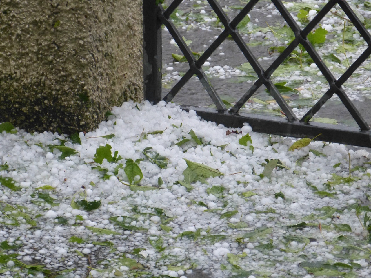 冻雨，自然界的独特魅力与严峻挑战